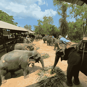 chang-siam-krating-lai-pattaya