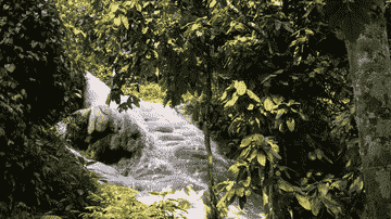 climb-unique-sticky-waterfall-in-chiang-mai