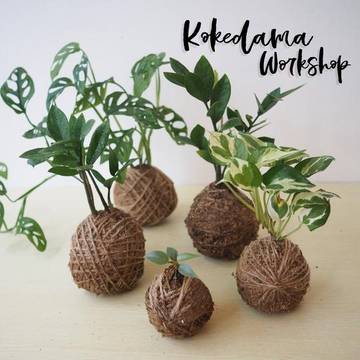 kokedama-workshop