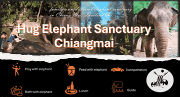 hug-elephant-sanctuary-chiangmai