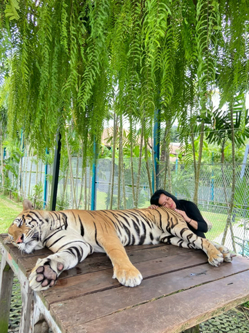 join-tour-phuket-city-tour:-tiger,-big-buddha,-chalong-temple