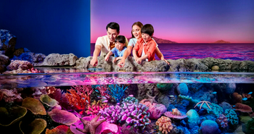 sealife-bangkok-+-madame-tussauds-bangkok-bundle
