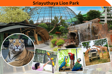 the-historic-city-of-ayutthaya-and-sriayuthaya-lion-park-day-tour