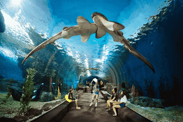 underwater-world-pattaya