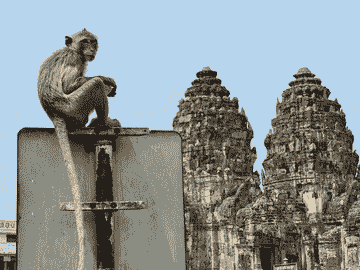 unseen-lopburi:-the-land-of-monkey