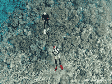 3d2n-all-inclusive-wakatobi-trip-(non-diver)