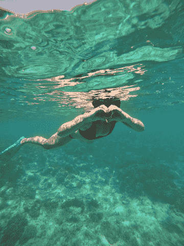4-hour-snorkeling-by-glass-bottom-boat-in-the-gili-islands