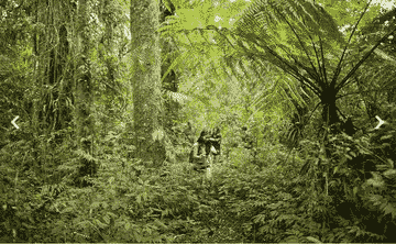 4wd-land-rover-safari--at-munduk-wilderness