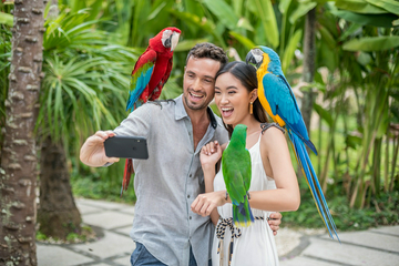 bali-bird-park