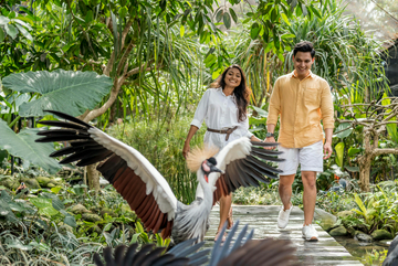 bali-bird-park-with-transport-for-oversea