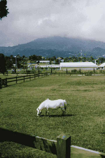 bali-farm-house-admission-ticket