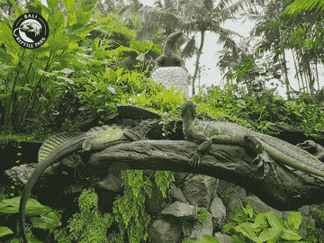 bali-reptile-park