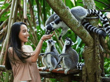bali-zoo-for-indonesian-id/kitas-holder