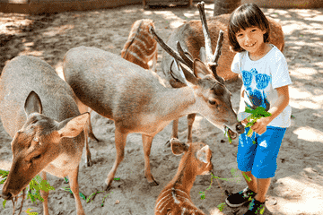 bali-zoo-for-non-indonesian-id-holder