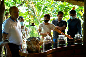 coffee-experience-by-bali-pulina