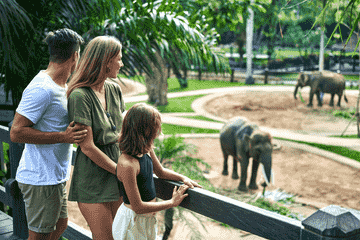 elephant-park-tour