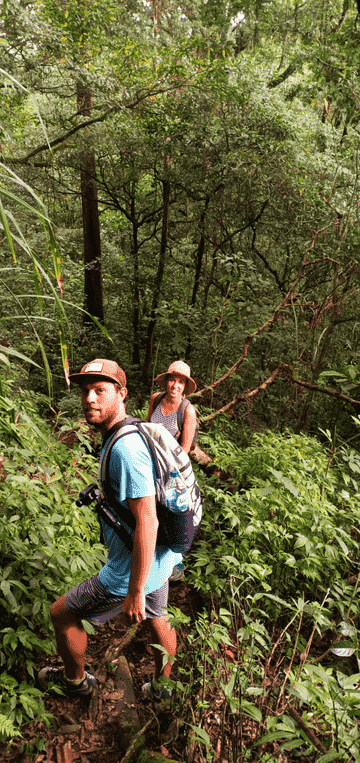 explore-the-real-jungle