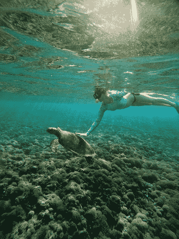 half-day-private-guided-snorkeling-trip-by-glass-bottom-boat