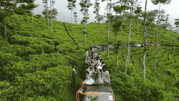 jeep-ceria-kemuning-adventure