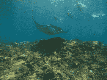 lembongan-island-explore