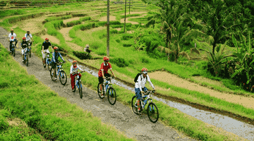 mt.-batur-sunrise-jeep-experience-&-cycling-tour-by-bali-volcano-jeep