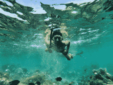 open-trip-island-pari