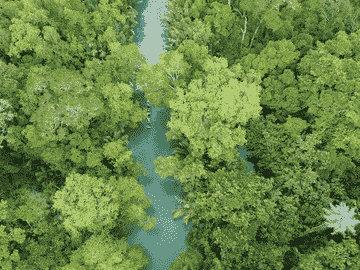 open-trip-peucang-island-ujung-kulon-national-park-for-domestic