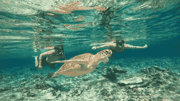 private-snorkeling-with-gopro