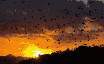 sunset-trip-labuan-bajo-by-east-cruise