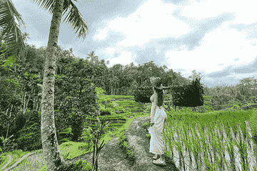 ubud-higlight---ubud-highlight-holy-water-temple-on-private-tours