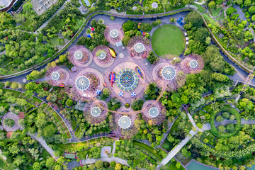 gardens-by-the-bay-guided-tour---supertrees,-flower-dome-and-cloud-forest