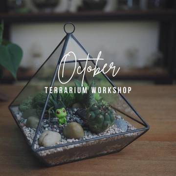 terrarium-workshop