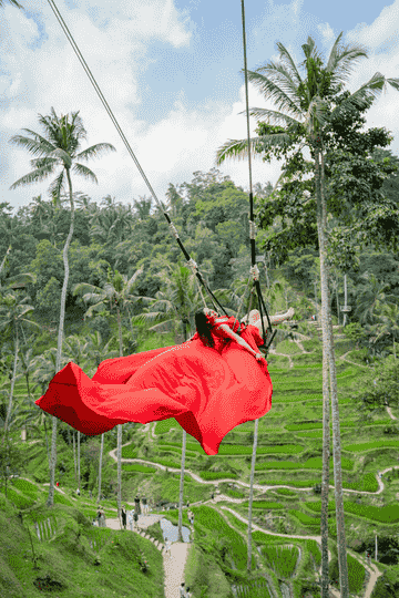 bali-atv-with-sacred-monkey-forest-and-tegalalang-rice-terrace