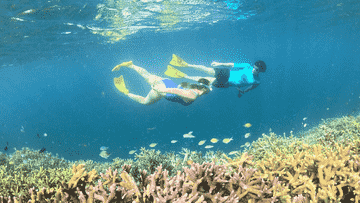 the-hidden-gili-north-east-lombok-private-snorkeling