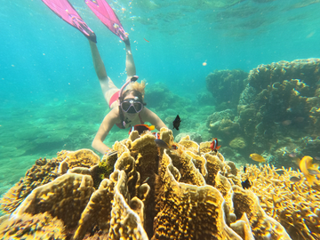 lombok-:-private-snorkeling-gili-asahan,-gili-goleng,-gili-layar-and-gili-gede