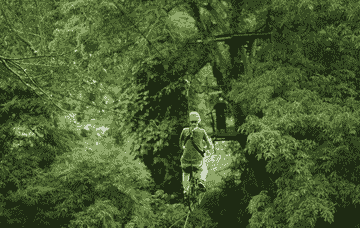 chiang-mai:-national-elephant-care-&-fully-zipline-with-van-transfer