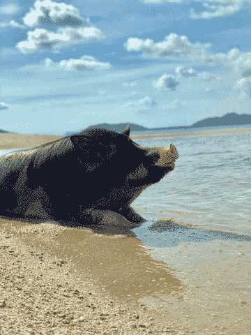 join-tour-koh-tan-&-koh-mudsum-by-speedboat-from-samui