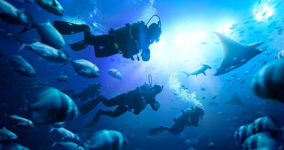 Book Ultimate Marine Life Experience at Adventure Cove Waterpark ...