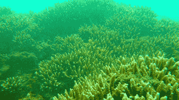 secret-island-hopping-tour-ciletuh