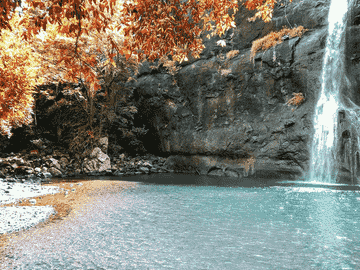 [ticket]-picnic-lunch