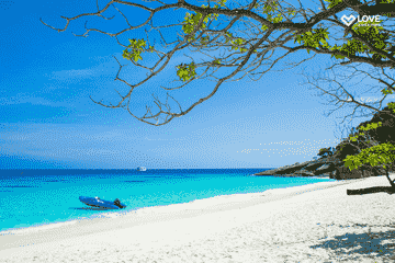 day-trip-similan---include-share-transfer