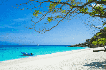 day-trip-similan---no-transfer