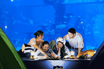 jakarta-aquarium-safari