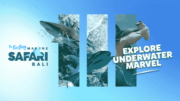 marine-safari-bali-(oversea)