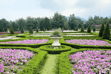 taman-bunga-nusantara