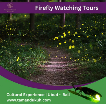 bali-firefly-watching-tours