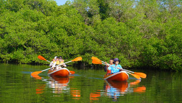 evening-mangrove-canoe-with-dinner