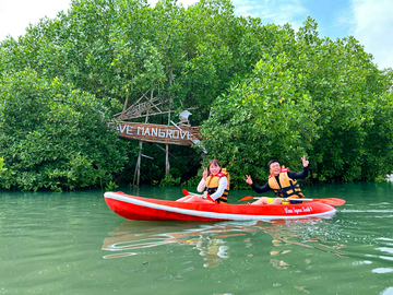 mangrove-canoeing-package
