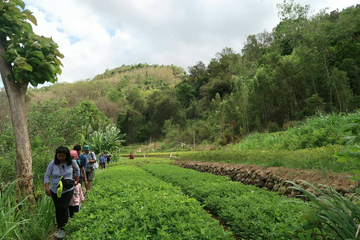 oya-trail-10k-circuit-(intermediate)