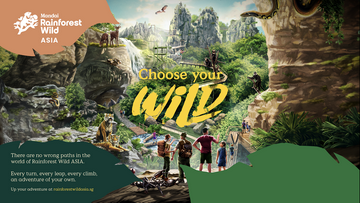 rainforest-wild-asia